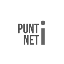 Punt net